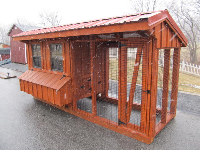5 x 6 Board & Batten Chicken Coop - Stained - with Pull-It Chicken Run (Reverse View)