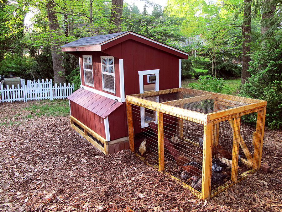5 x 6 Chicken Coop with Painted LP SmartSide (Barn Red w/ White Trim), shown with chicken run and hinged "under coop" panels