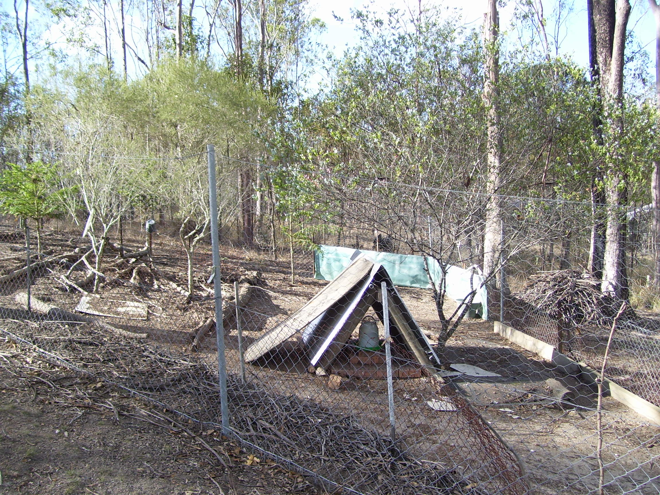 50 square meters  6 ft fence  bit dry at the moment in drought