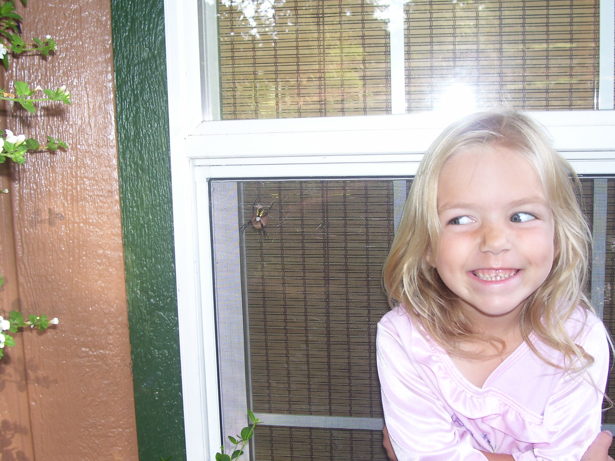 BackYard Chickens Learn How to Raise Chickens