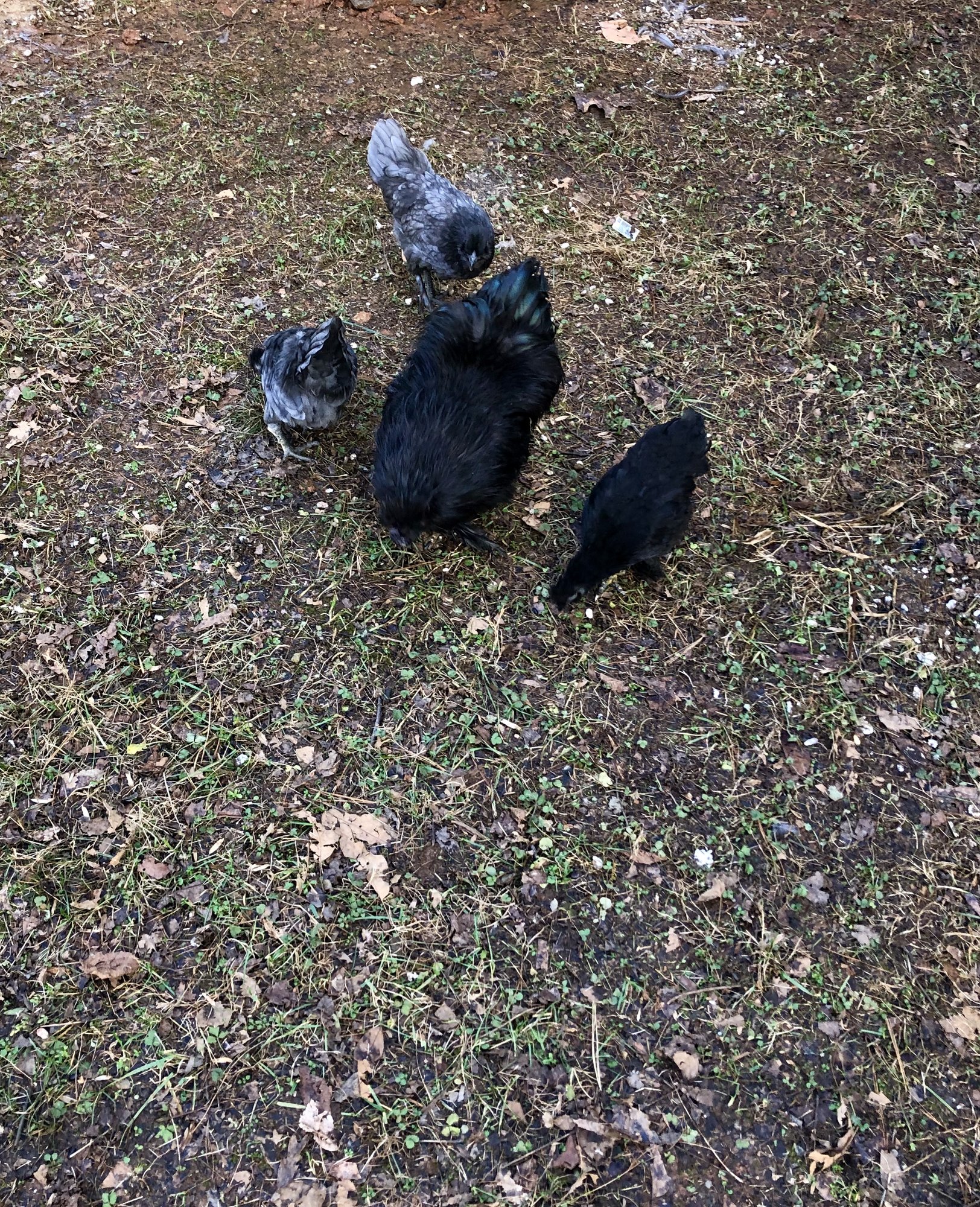 5323C68A-904D-452C-81A7-5B2F78861E4C