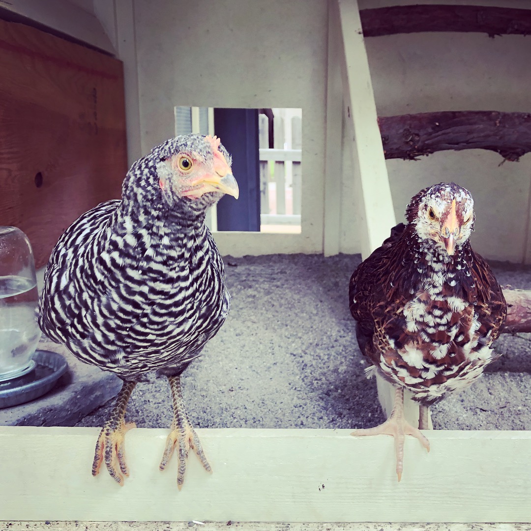 5325A430-8F81-478E-AE9A-1F3CDB506AD0