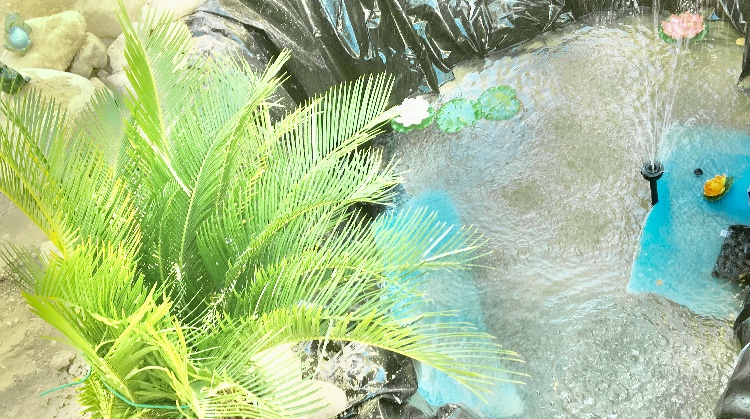541F8692-BCAC-4405-9B82-00608F54837F.jpeg