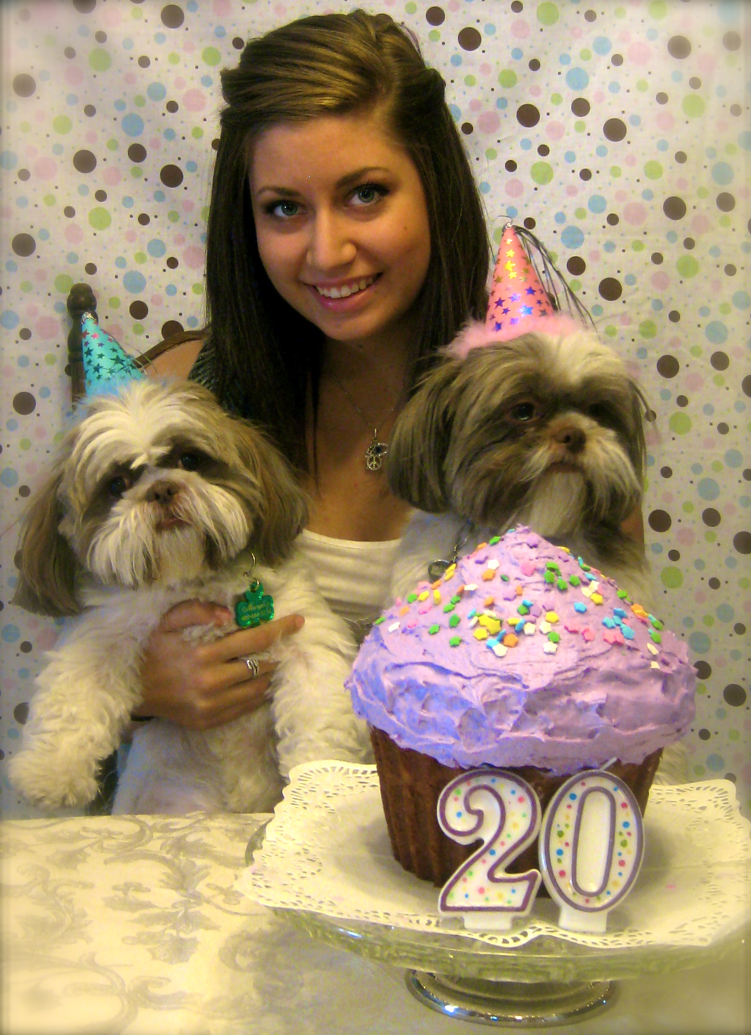 BackYard Chickens Learn How to Raise Chickens