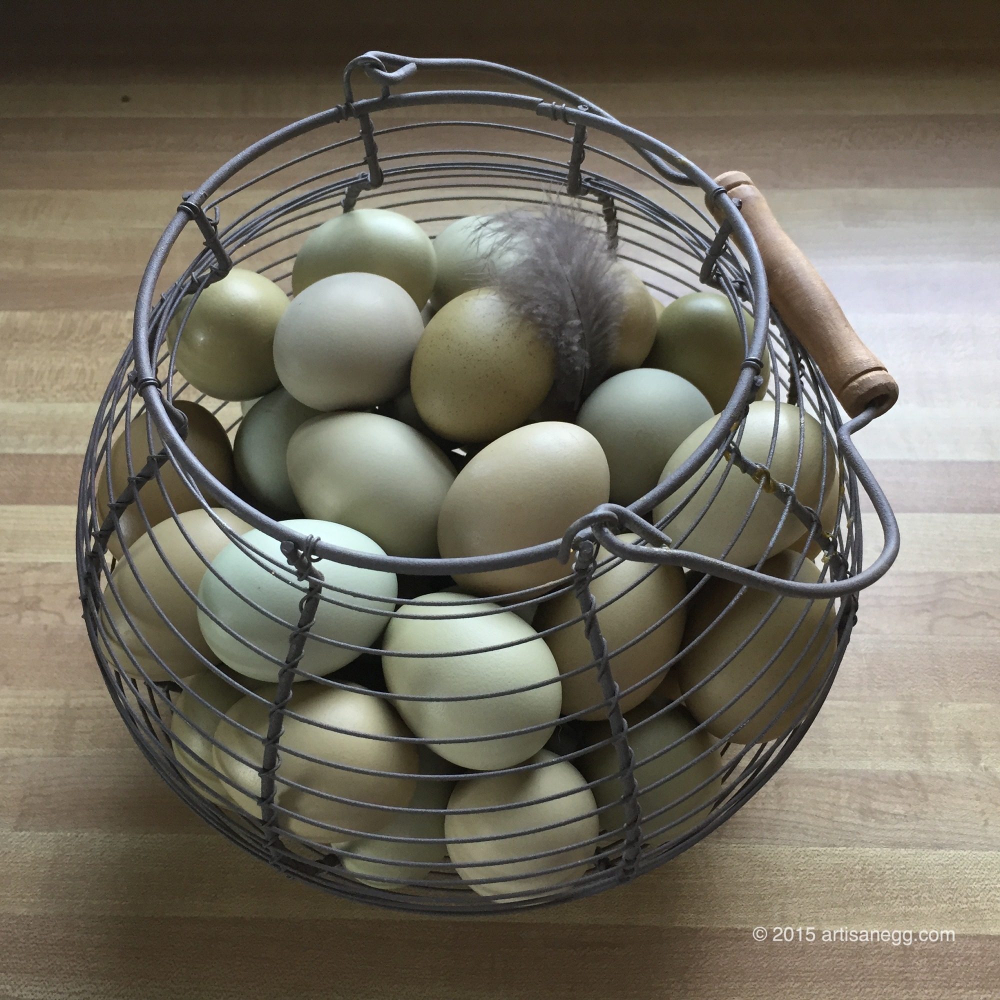 55 Green Eggs - I'll call this a good day!