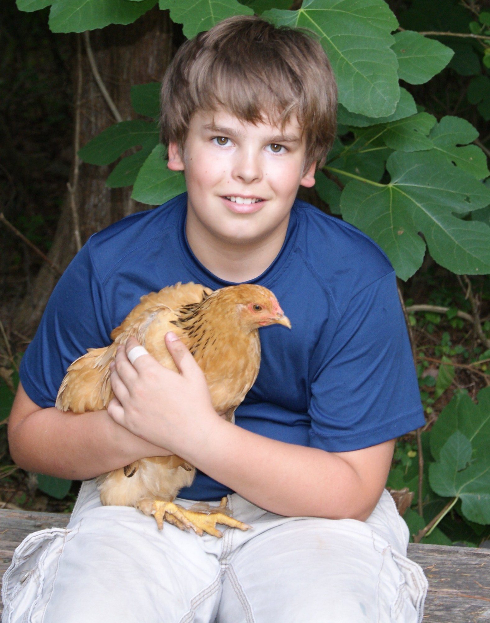 BackYard Chickens Learn How to Raise Chickens