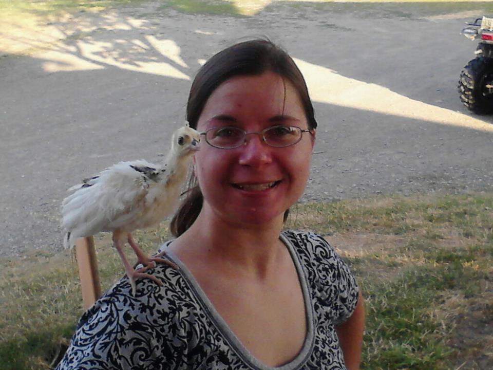 BackYard Chickens Learn How to Raise Chickens
