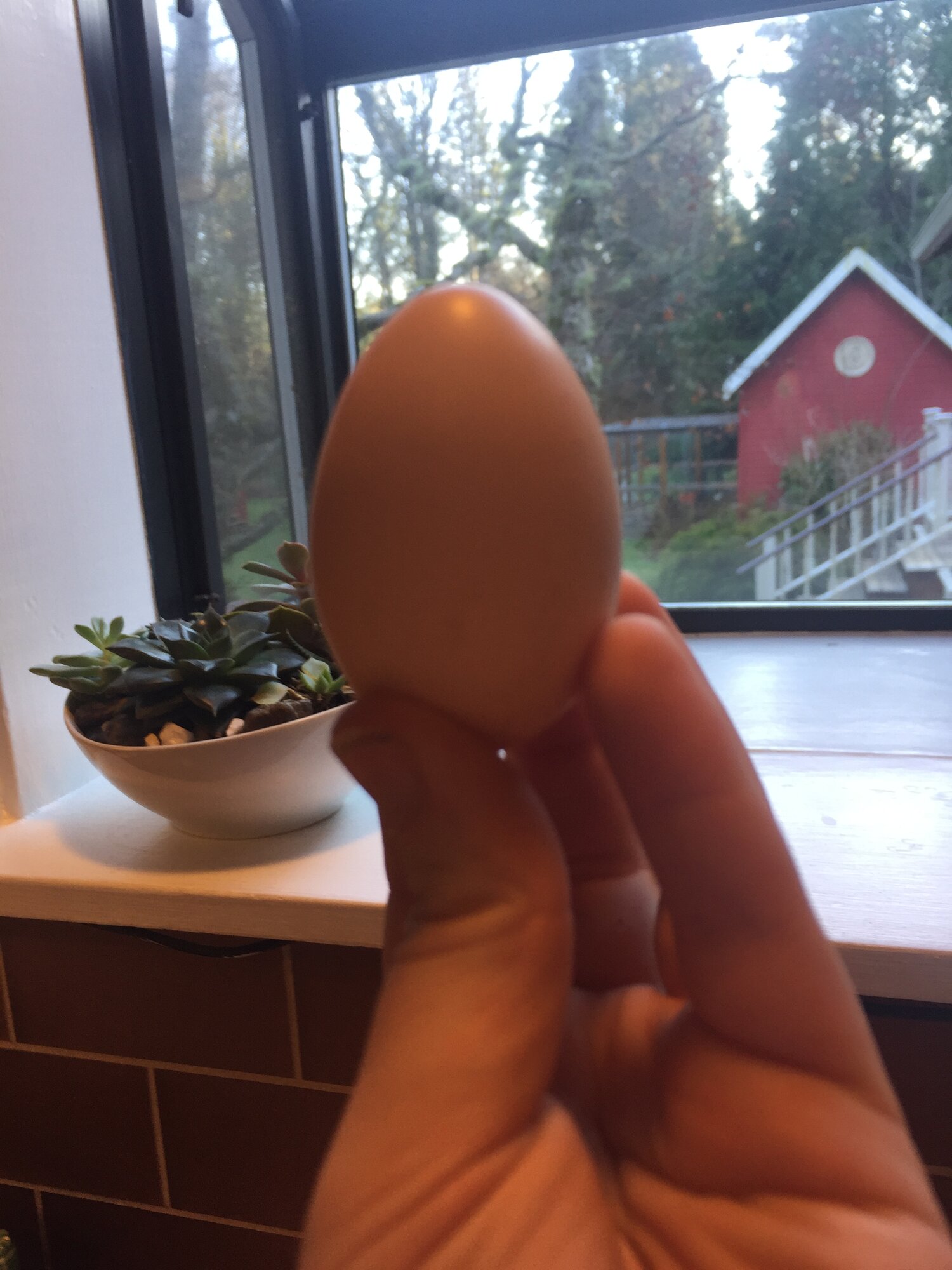 5E0562F7-DD87-414A-9B8D-244D3AF33C31.jpeg
