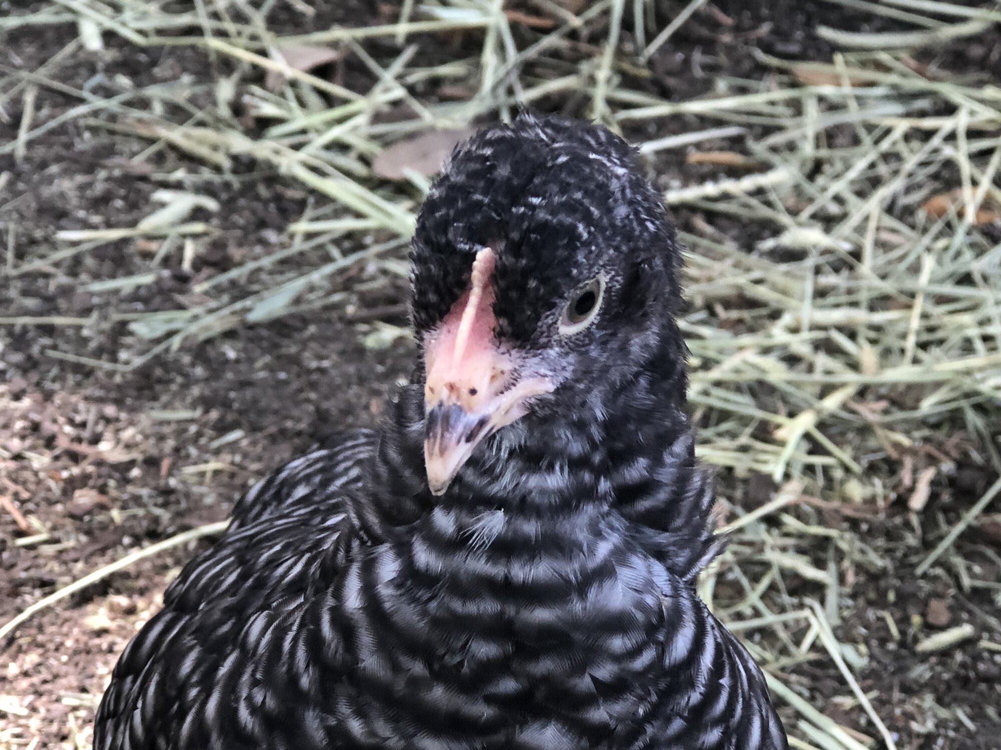 5F510421-0E23-442E-BF9A-E56CF8006613