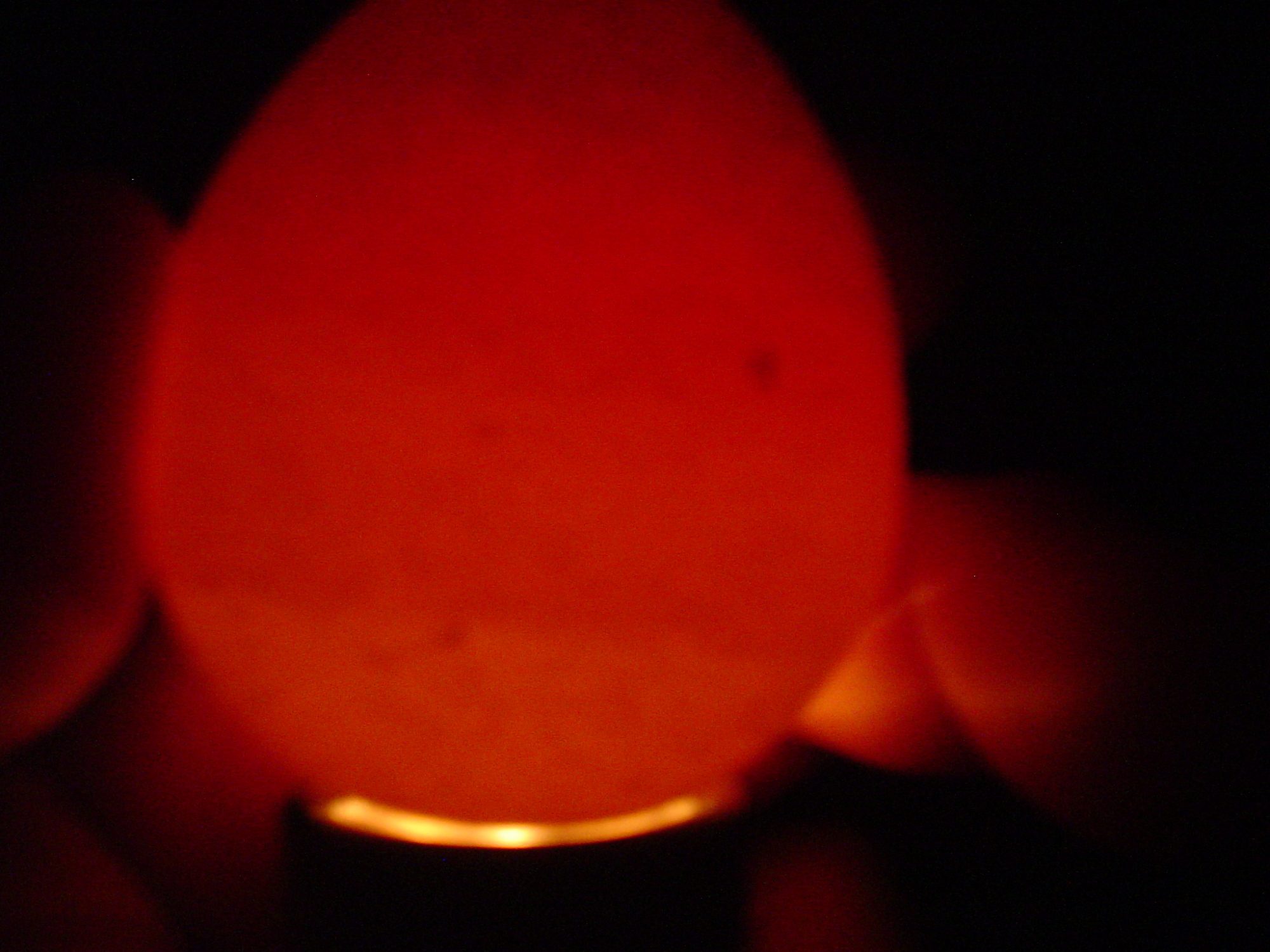 # 6 egg looking through the air sac