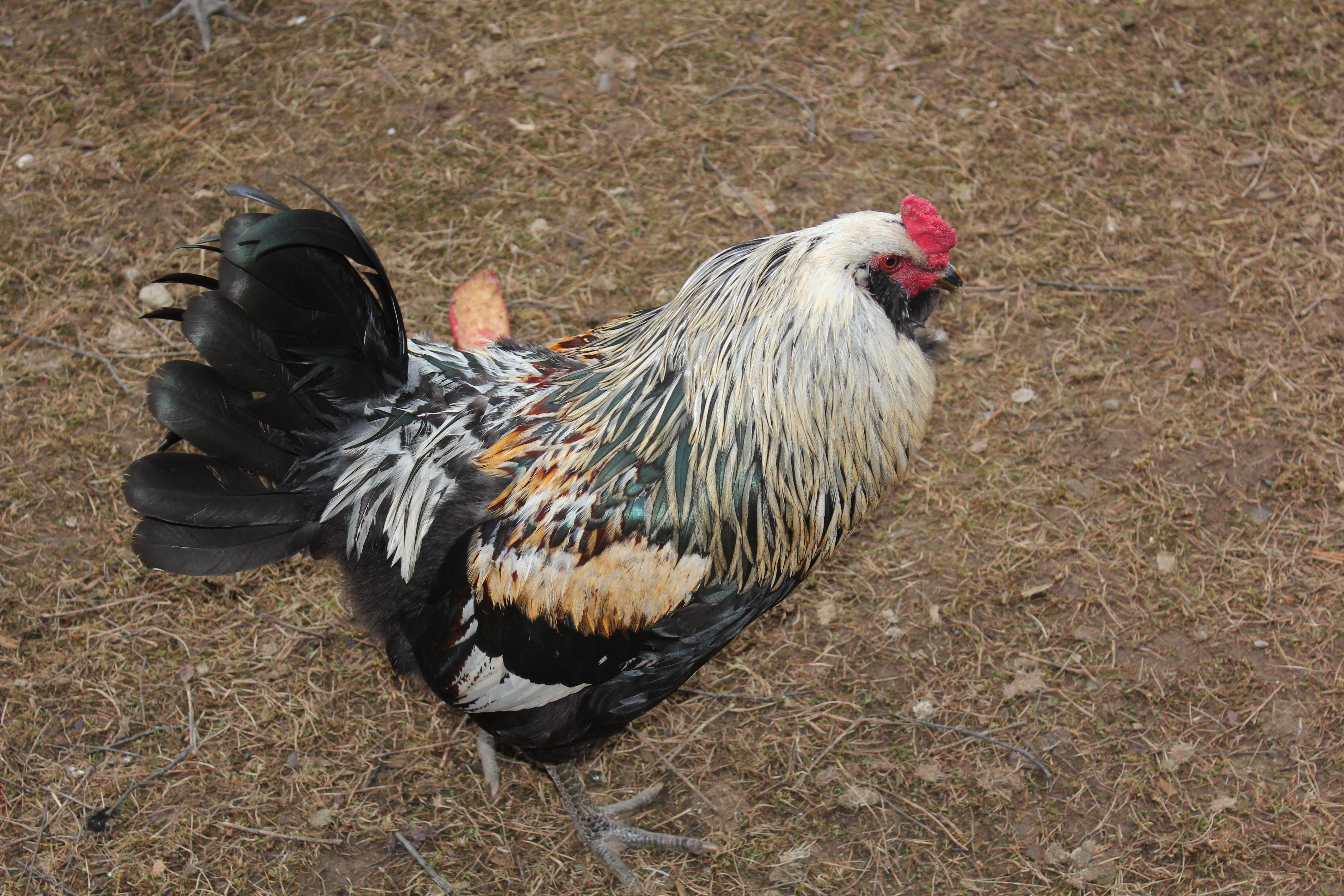 6 Months, 3 Weeks, 2 Days