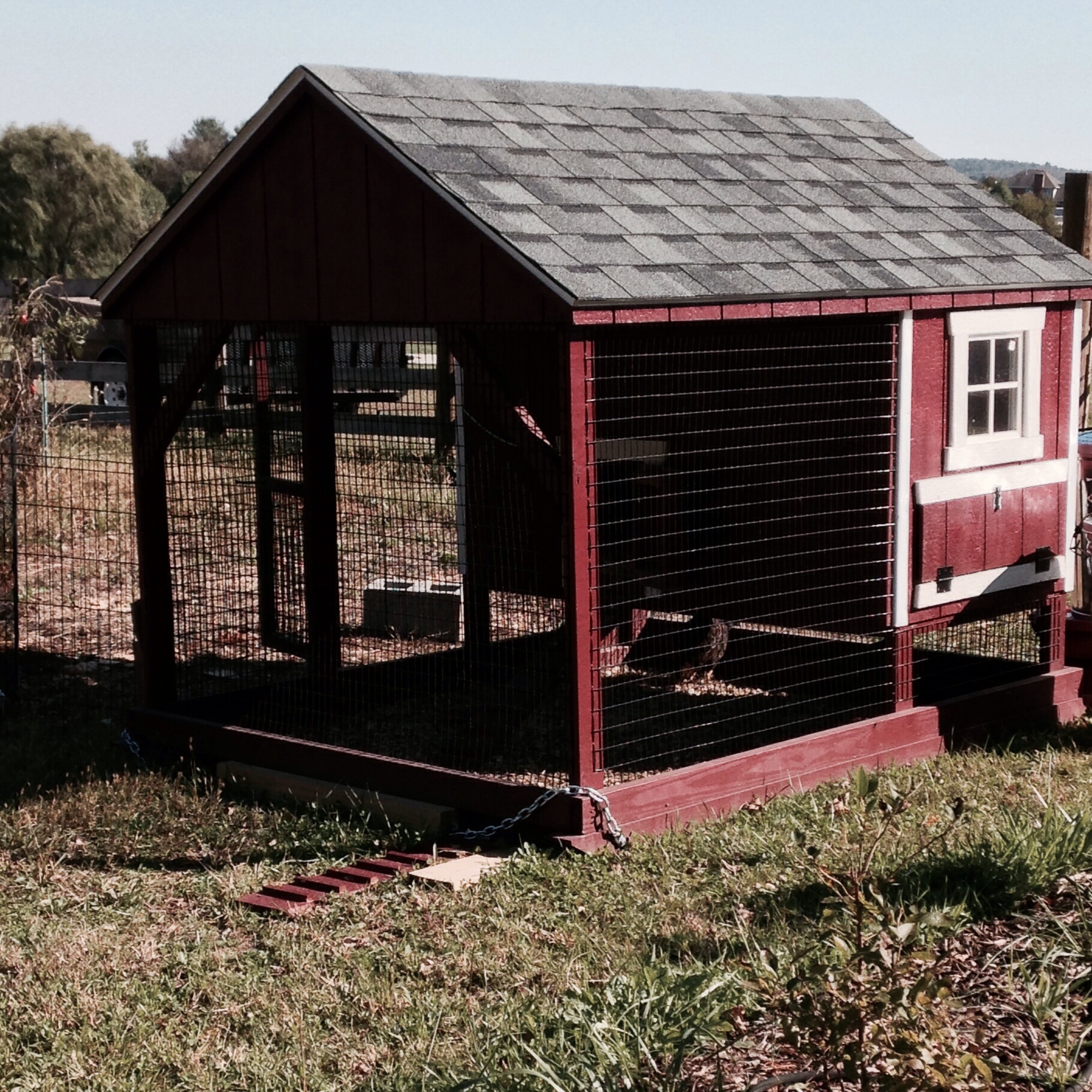 6 nesting boxes and built in run.  We are in the process of extending the run.  Starting with 5 hens.
