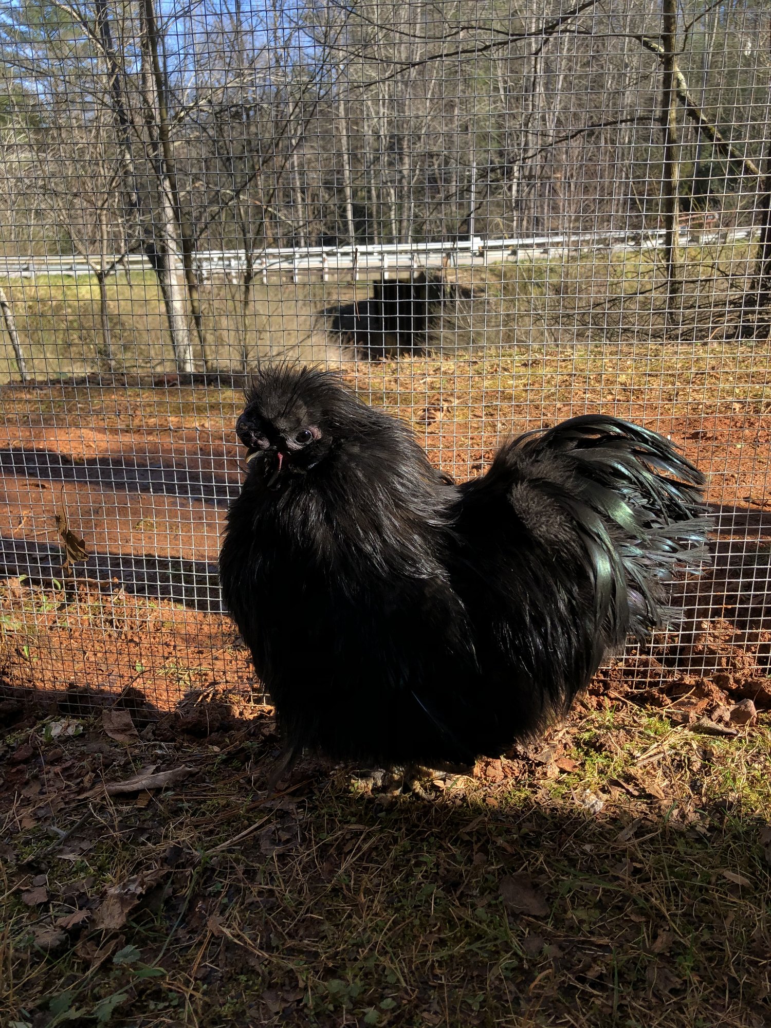 61579A16-95A6-4BCD-9726-A00A8F3D62DD