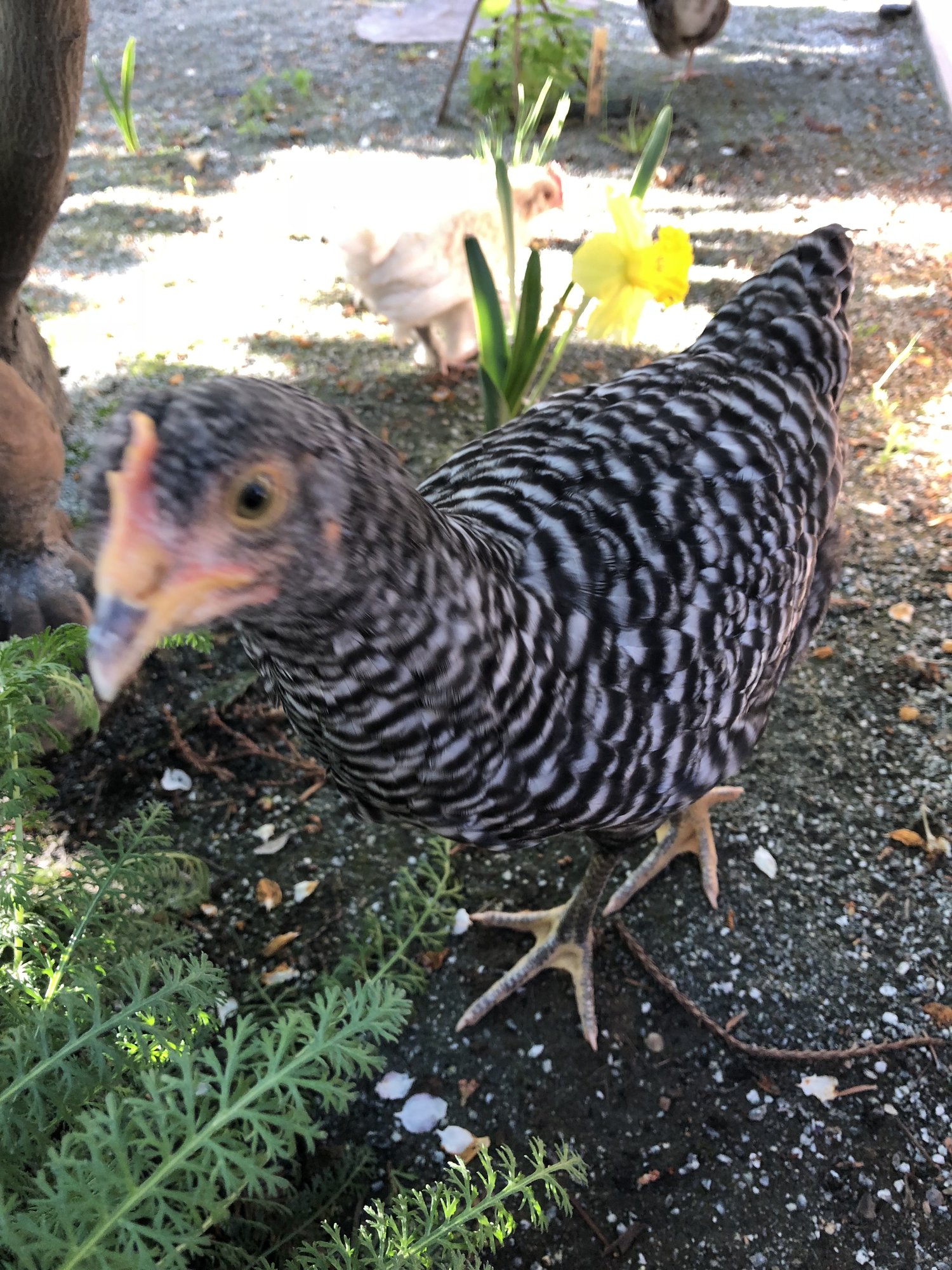 62C3C514-DB2B-49F1-BF48-23983F6B5FB0