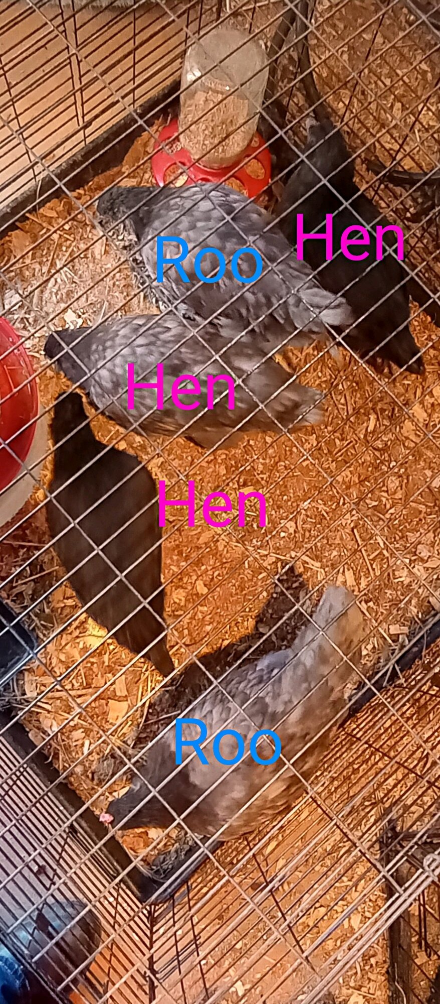 6390.jpeg