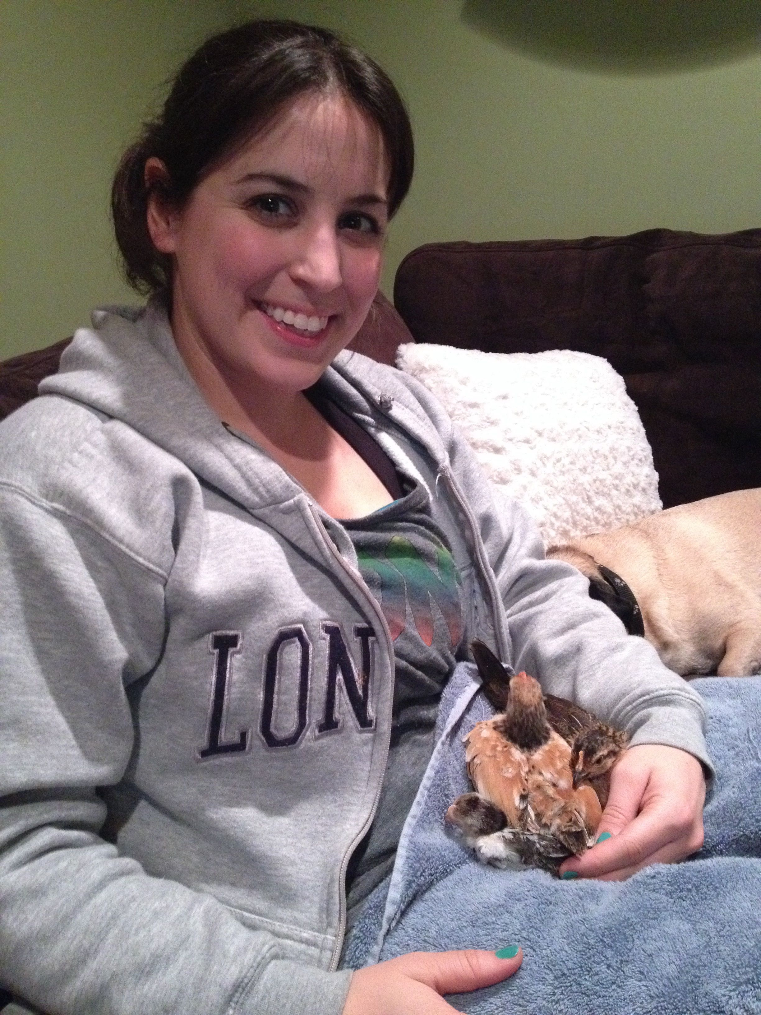 BackYard Chickens Learn How to Raise Chickens