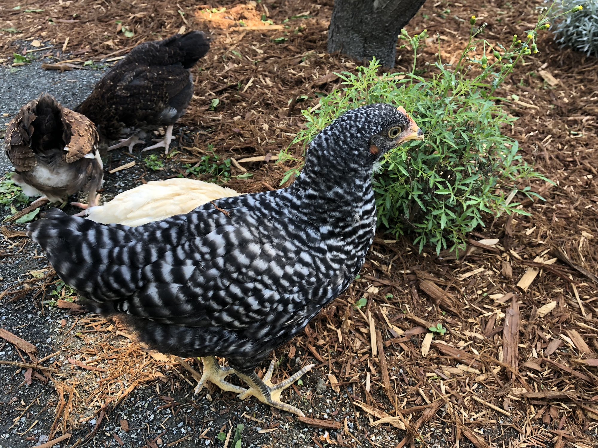 6574F547-6494-4A2D-B1C7-51FA17EAEEE5