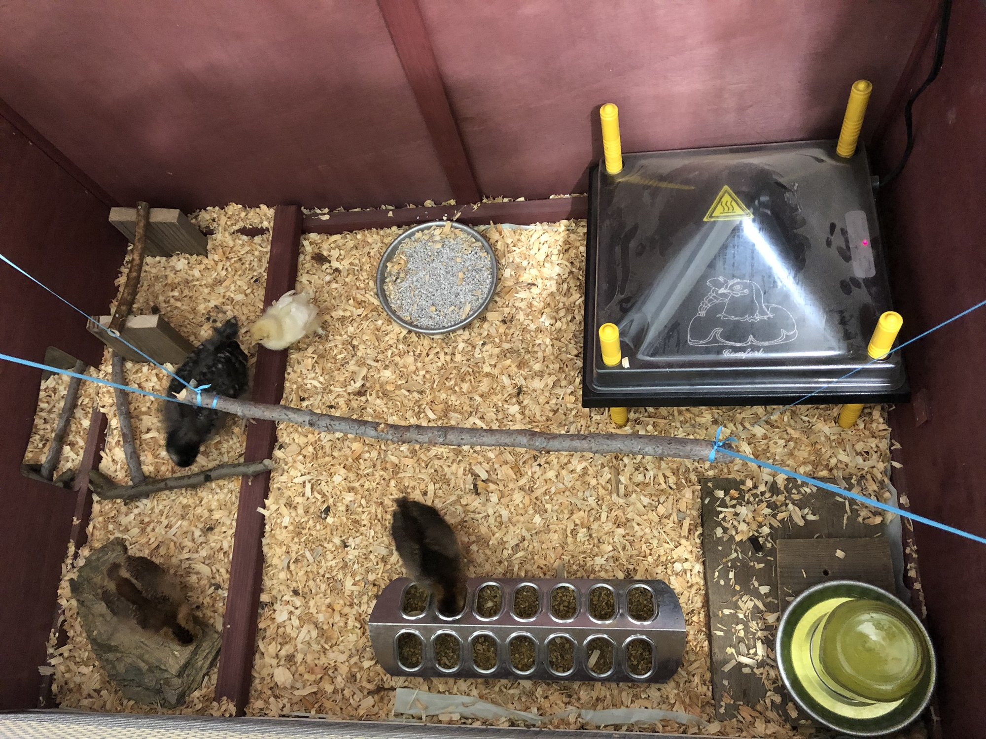 65D1B826-C3BE-4794-8AC9-9980F2E8E541