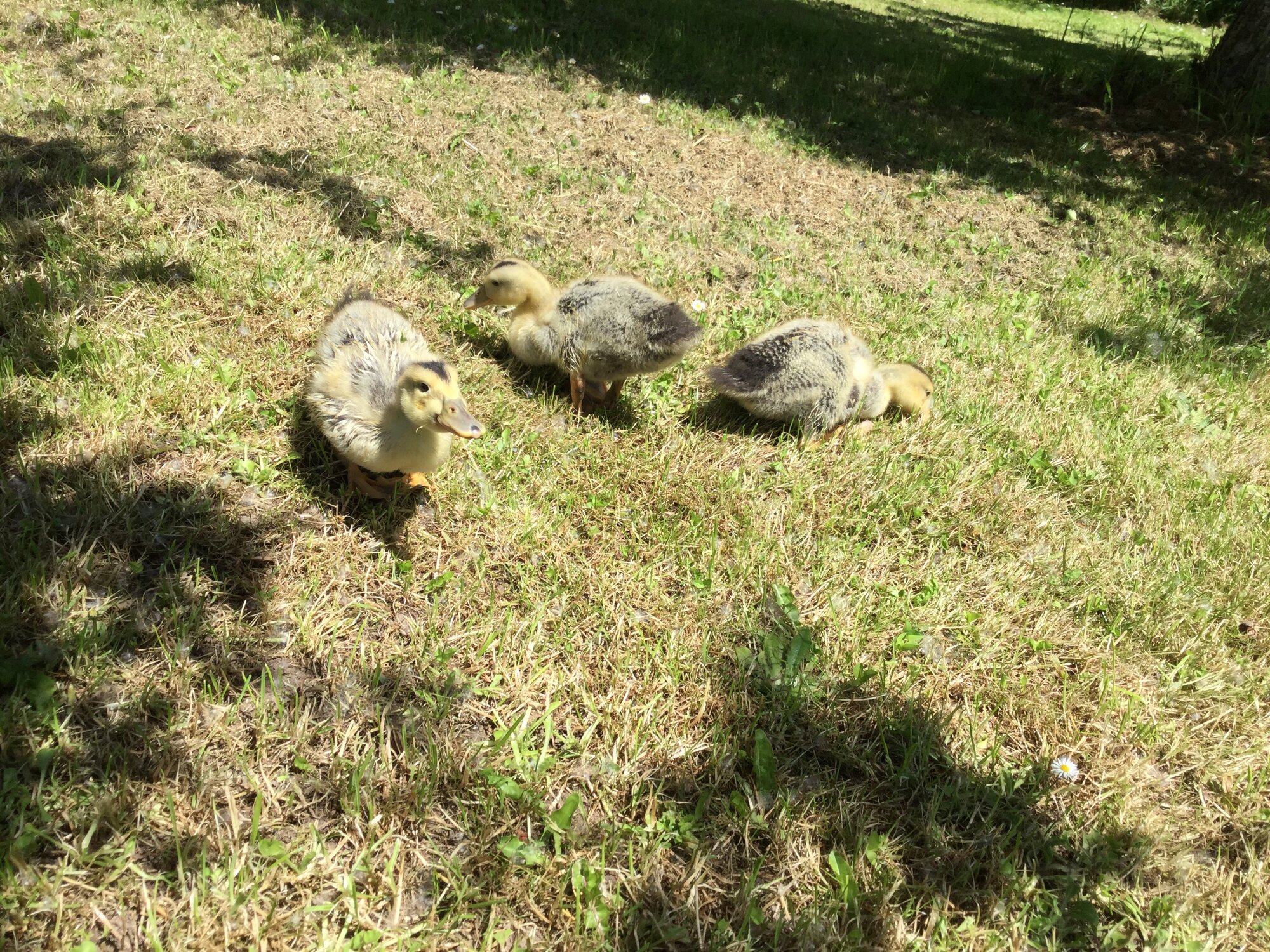 6C1B1746-B5F1-464C-9259-638351B158F0.jpeg
