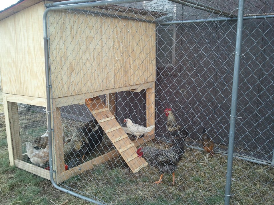 6x3x3 coop with a 12ft long run