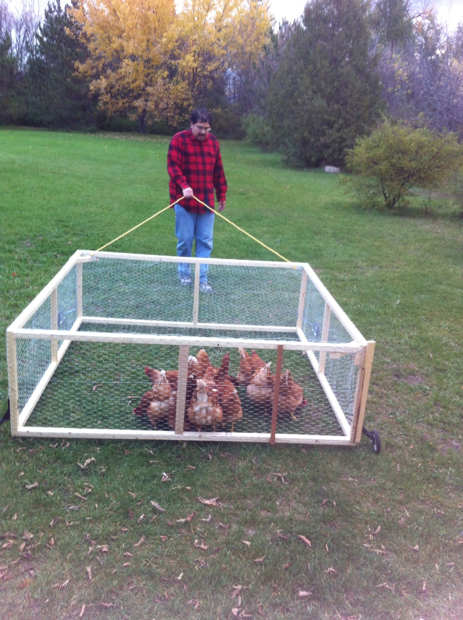 6x6x2 made with 2x2s and 1" mesh wire. We used old training wheels from the kids' bikes we had stashed in the garage and a nylon rope to pull it to and fro.
It works pretty well and I can move the girls around pretty easily in it.  Now if I could just get them to go back into the coop when play time is over!  :-/