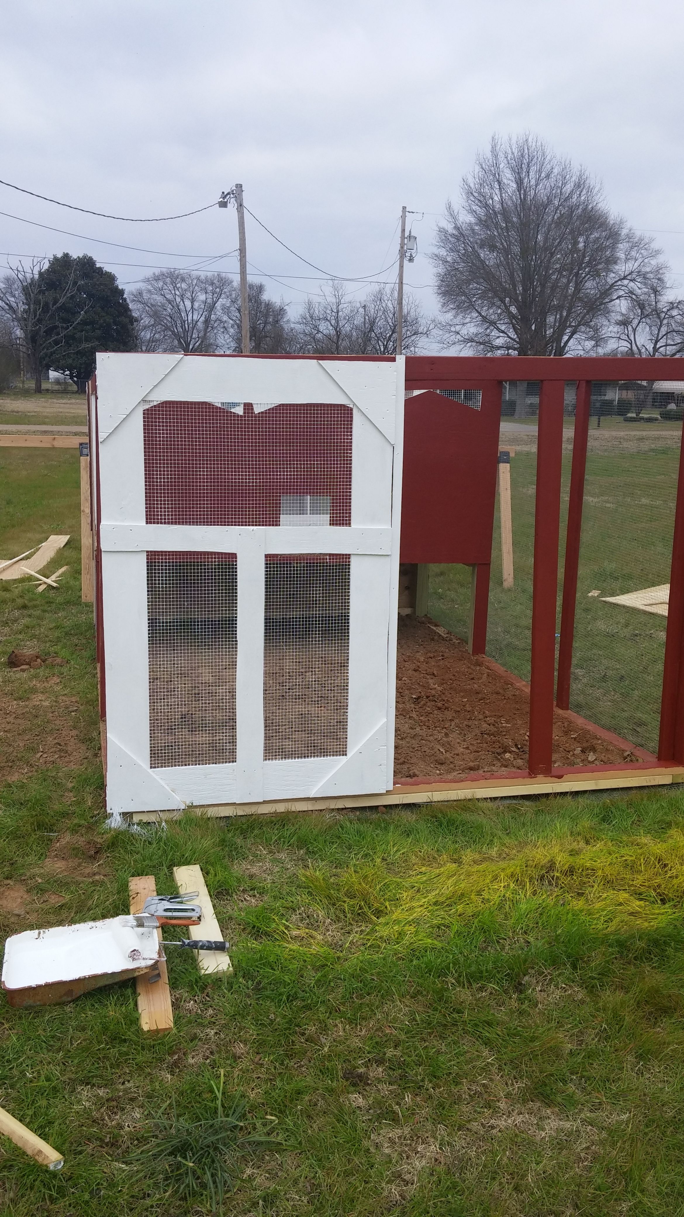 BackYard Chickens Learn How to Raise Chickens