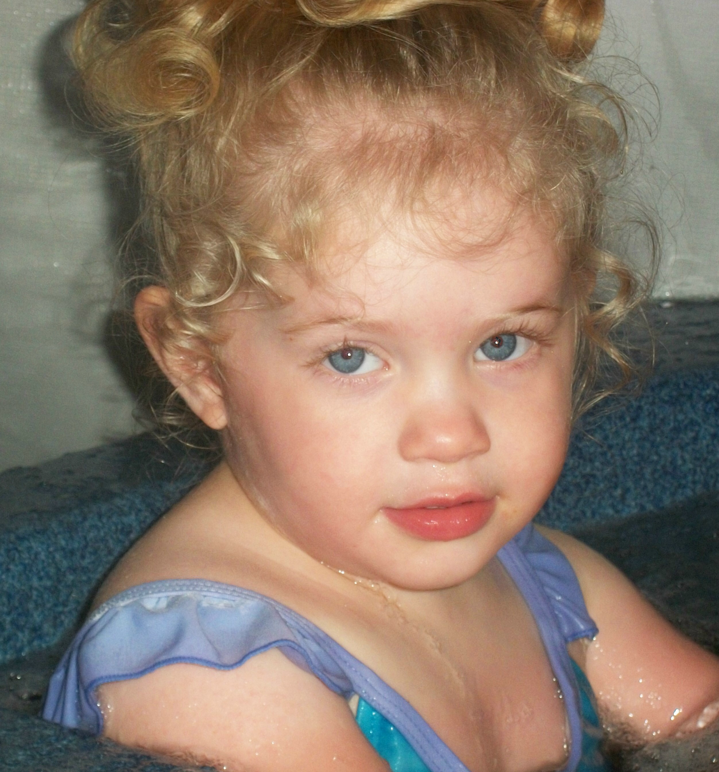 BackYard Chickens Learn How to Raise Chickens