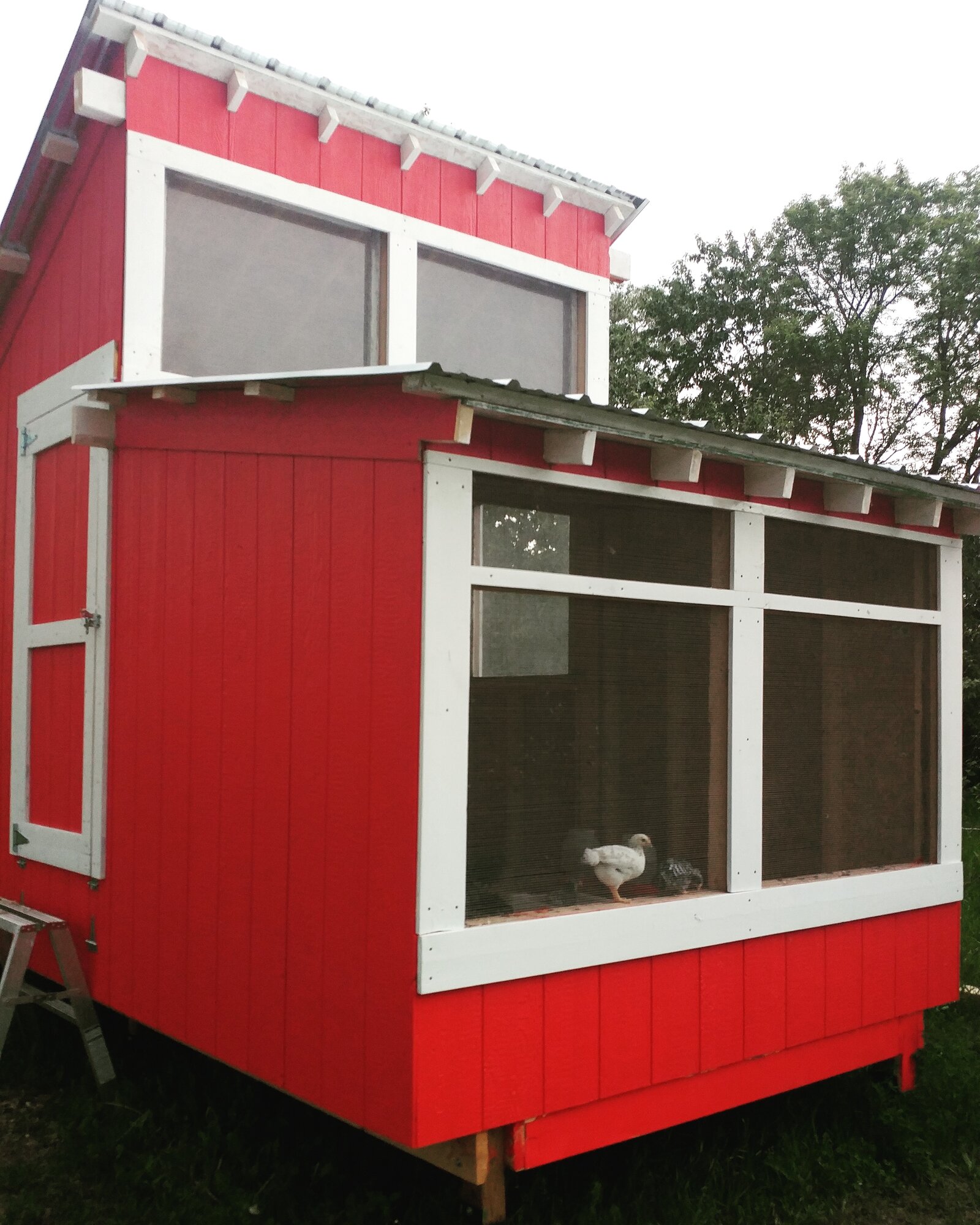 8' x 16' Woods Open Air Coop