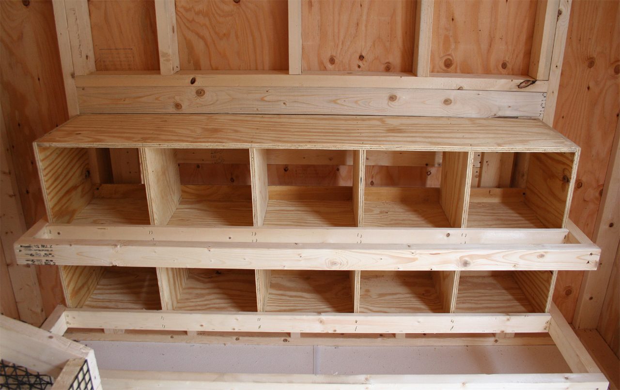 8 x 8 Chicken Coop's Nest Boxes BackYard Chickens Learn How to Raise Chickens