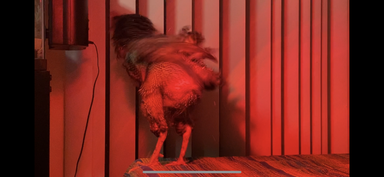 80_15.png