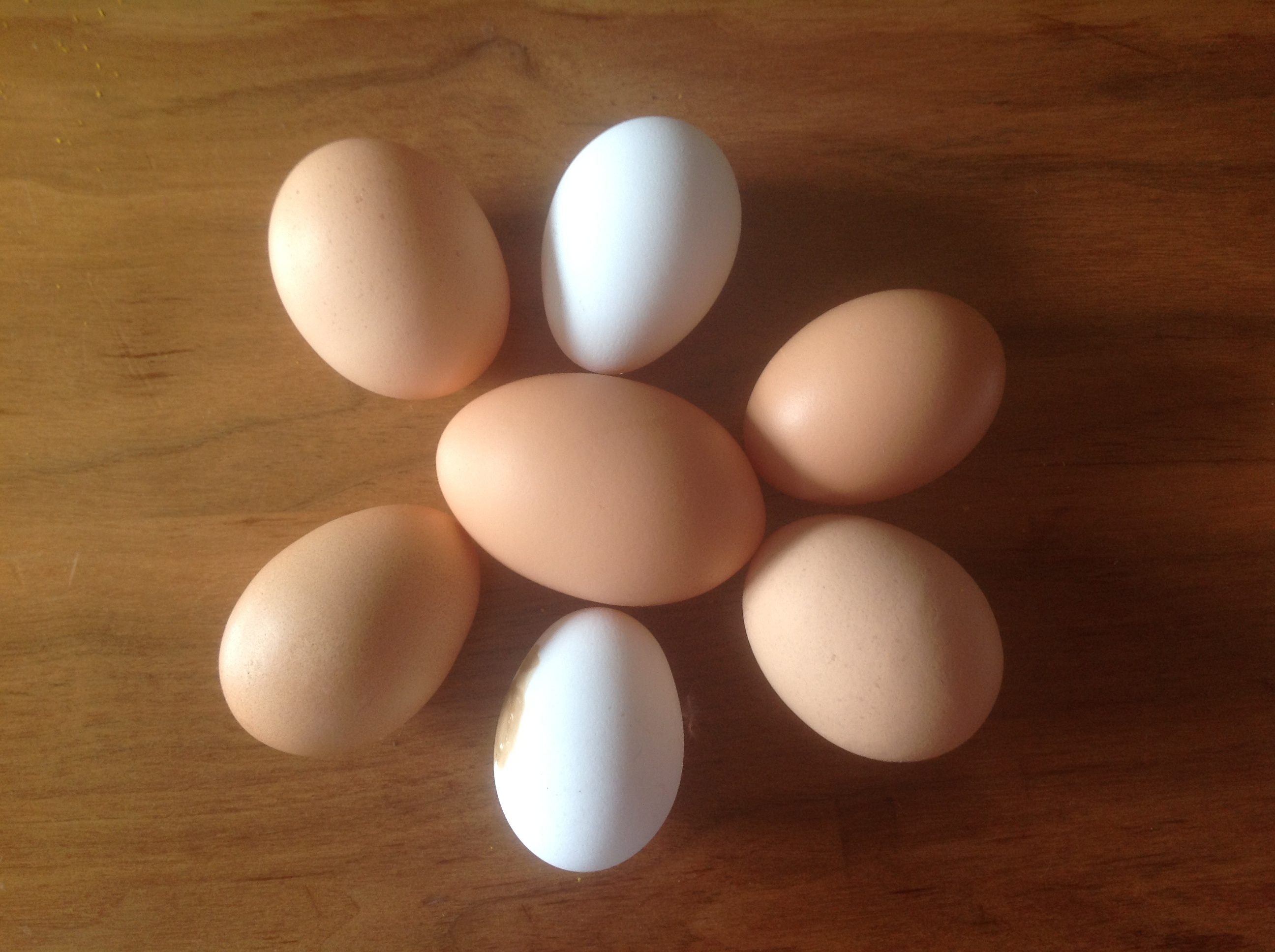 80g egg in center ...was so surprised when i  found it.  wish I knew which of my Browns laid it.