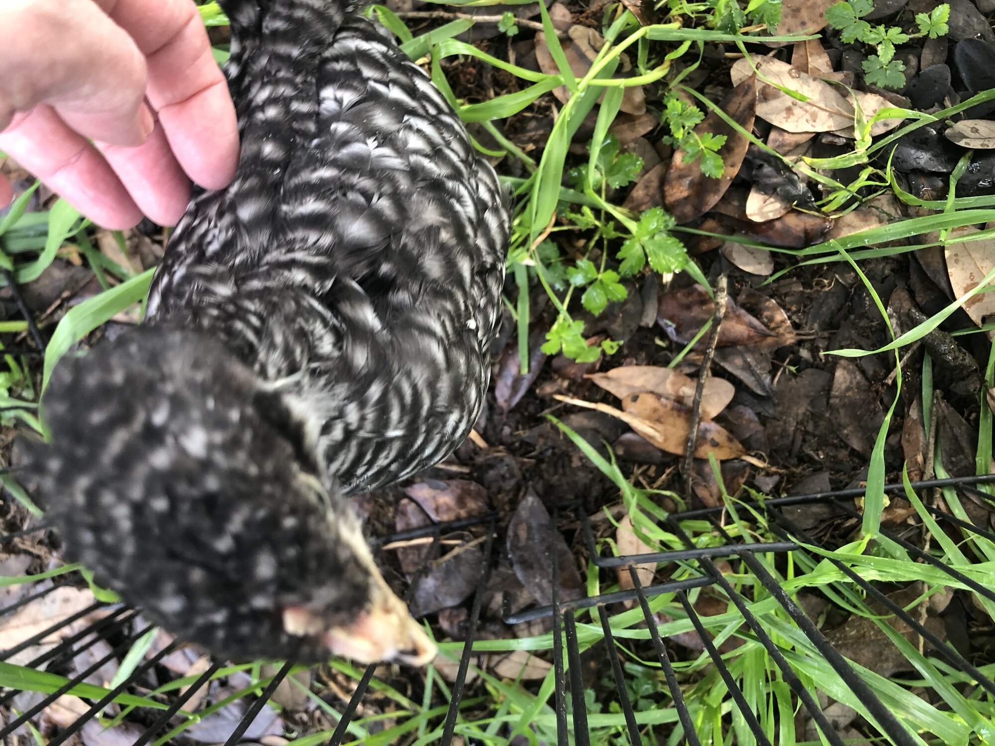 854B5222-607F-423B-9AD4-618D776BADE2