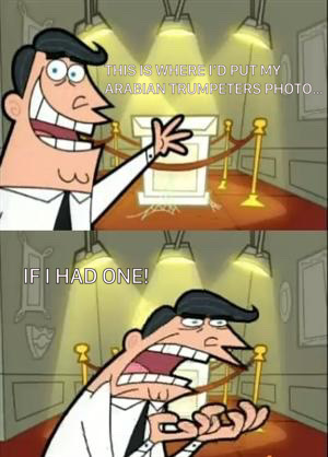 8C0844F4-1785-4703-9BB2-7B8C76674F7C.jpeg