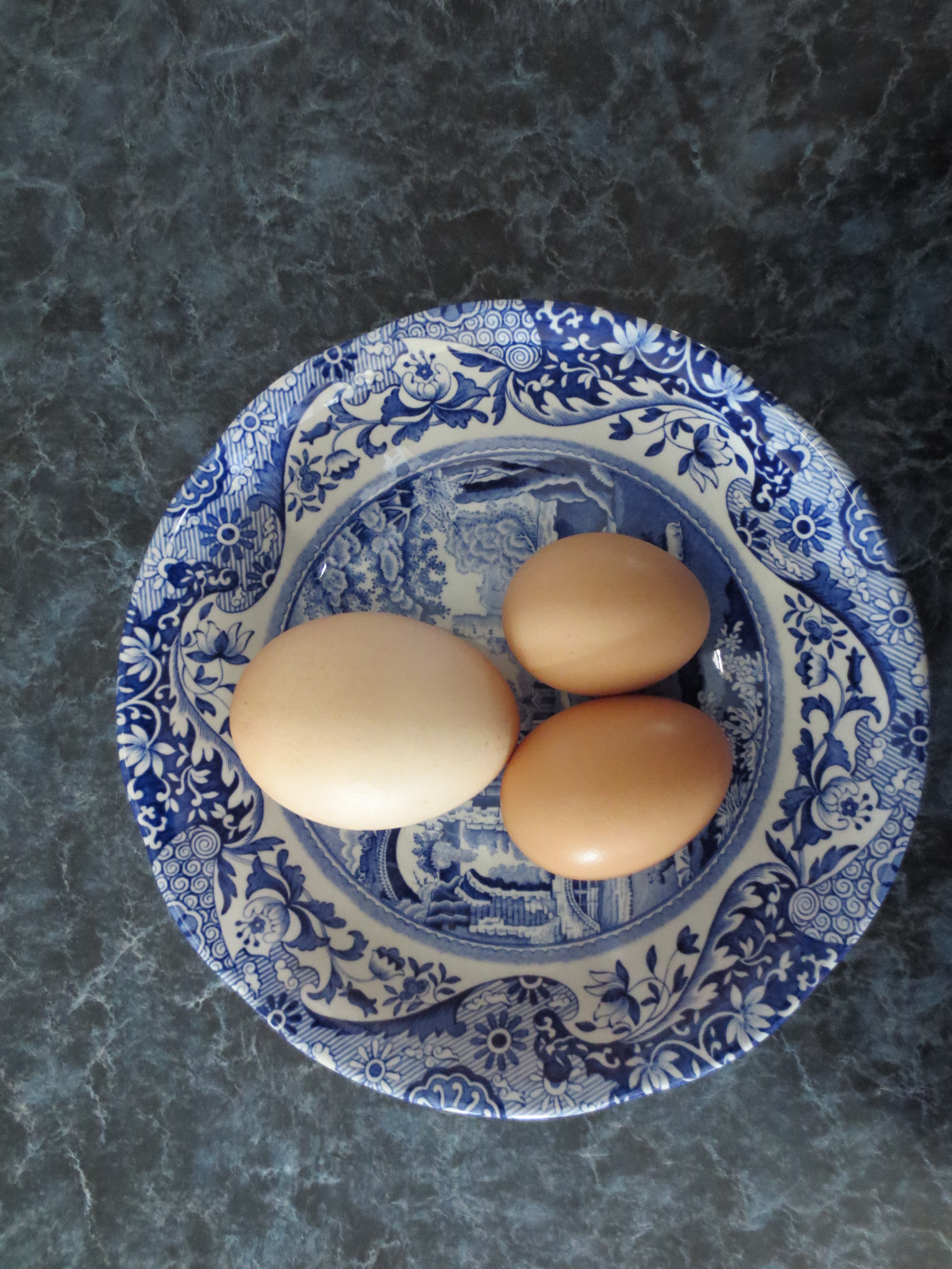 9-10-13 Comparing BA's first eggs.