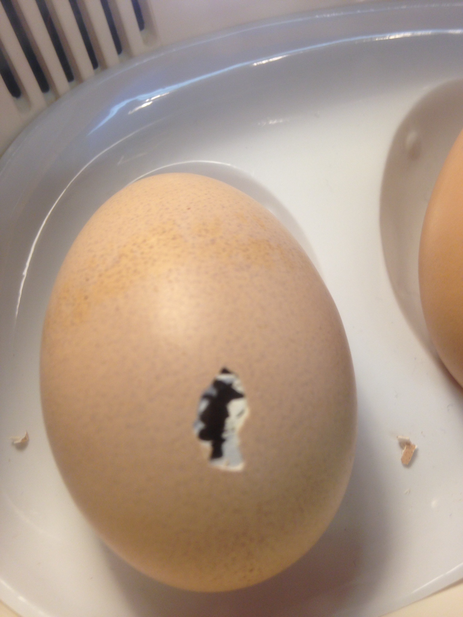 9/20/14 coming out!!!