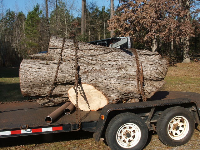 9000lb Tiger Maple
