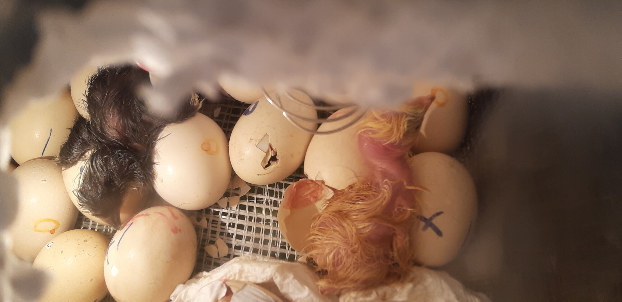 _١٣١٠٢٨