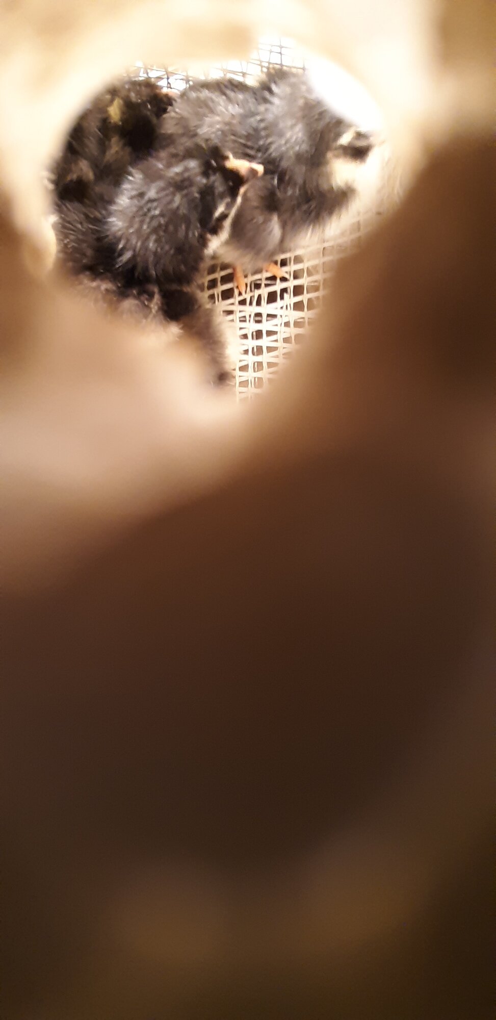 _١٣١٠٤٩