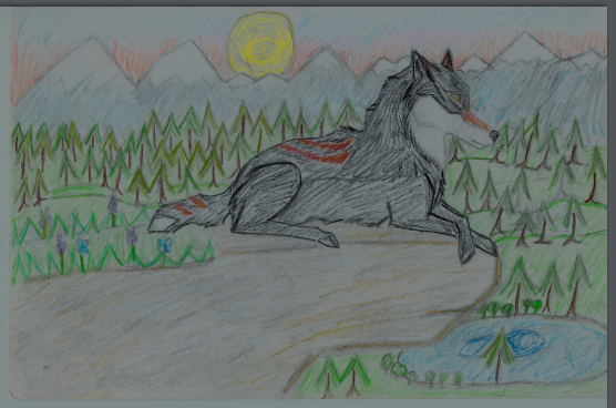 A another old wolf sketch!