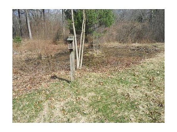 A bit of an unhappy sight. Previous owners started an irrigation pond, but it has become stagnant. It will be a chore, but I believe I can bring it back to life over a few years. Today it's nothing more than a mosquito breeder. :-(