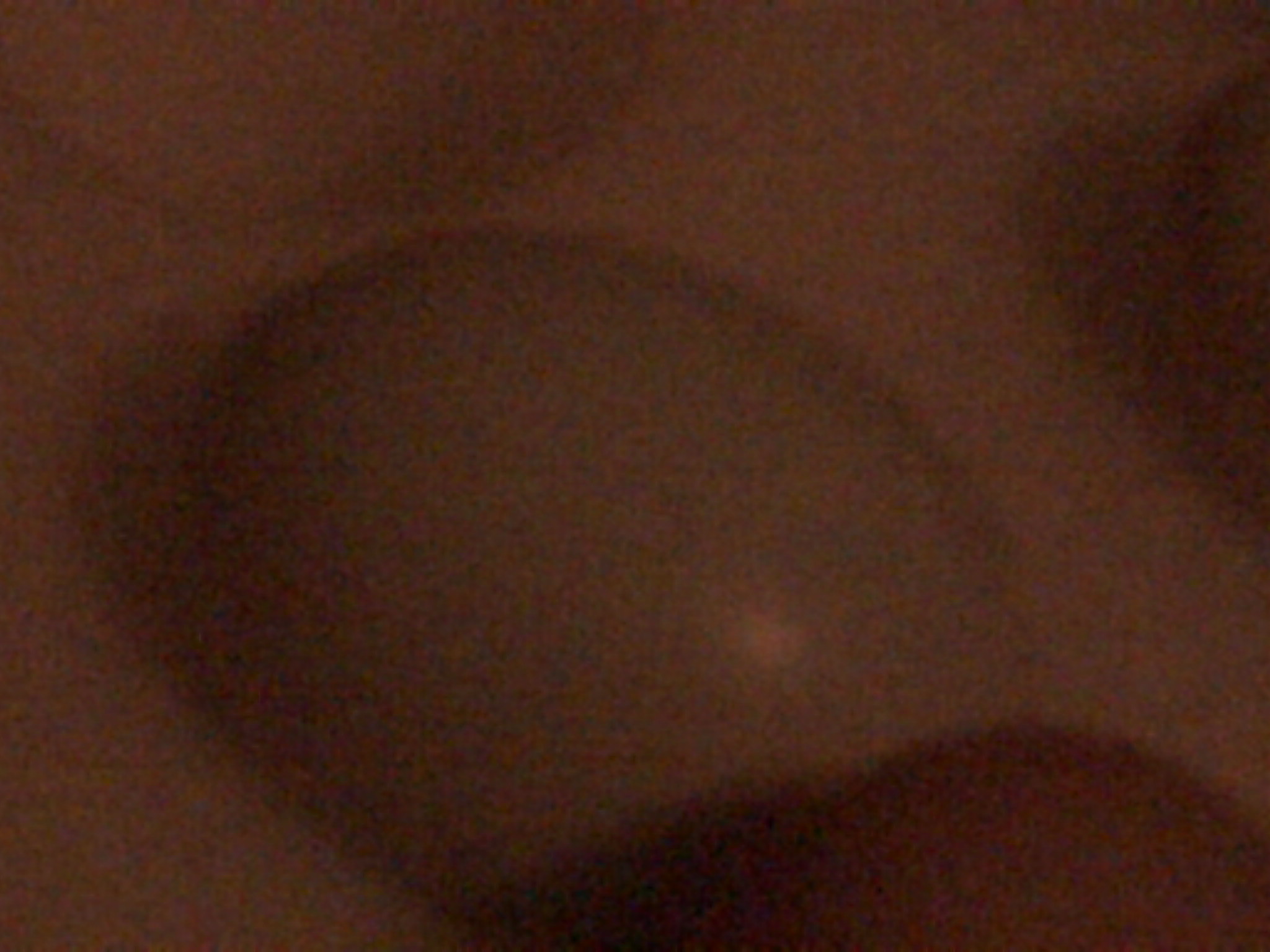 a blue egg? Mabye an olive legger egg?