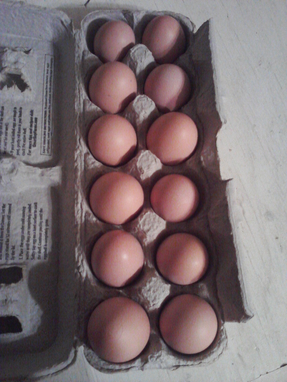 A carton full of eggs