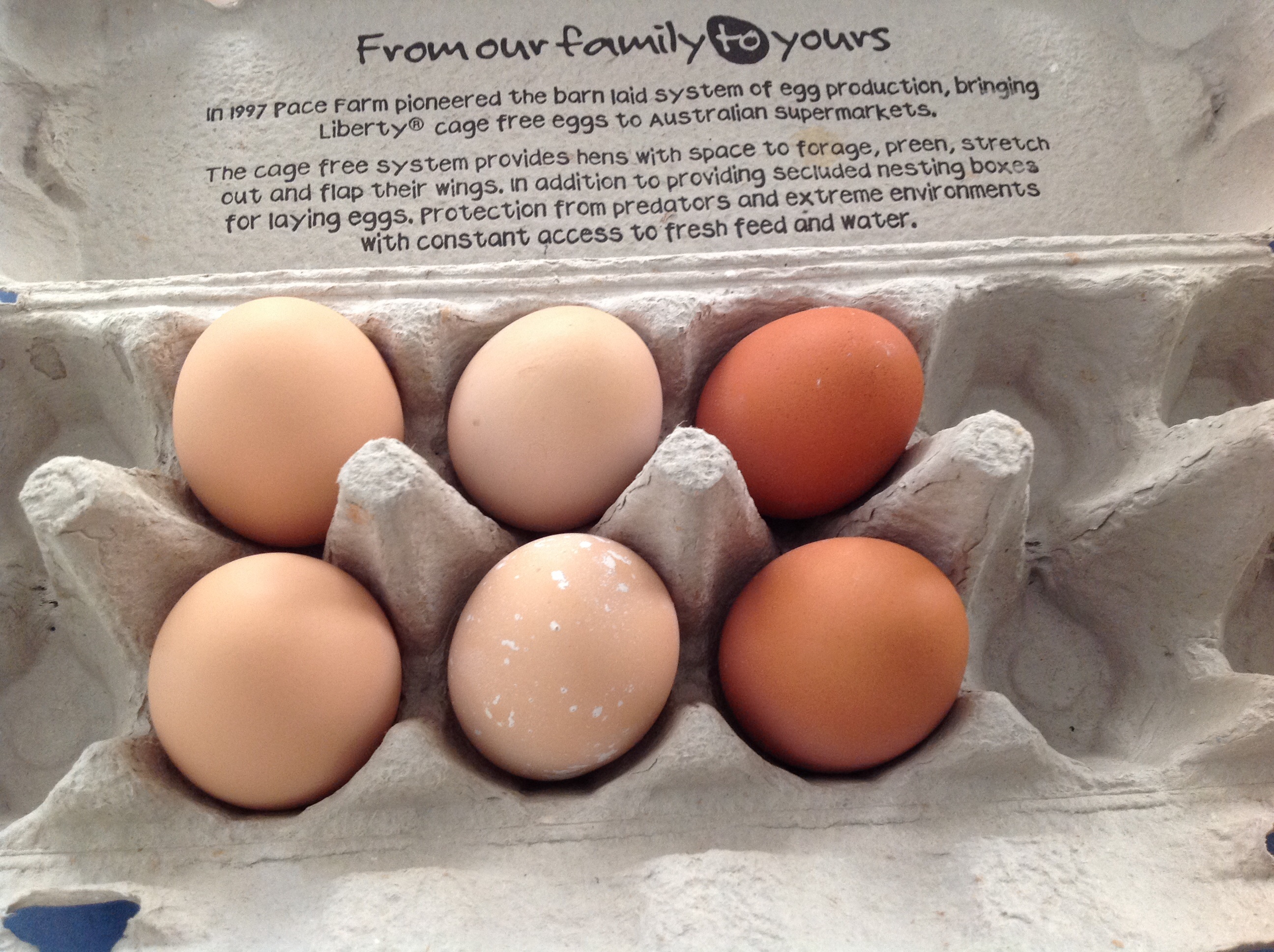 A different egg for each chicken!  The speckle one in the middle is from the Sussex who is dropping them outside after she sits in the box!