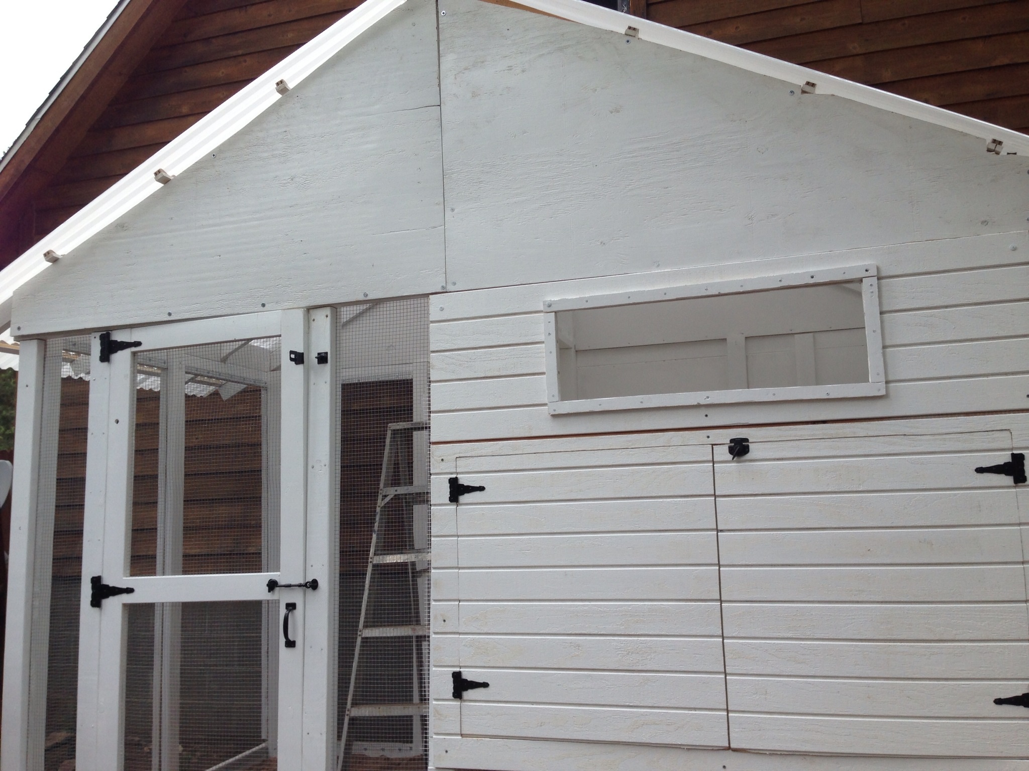 A double door that opens to the hen house for easy clean up. And a window (still need to put hardware cloth & cover) for ventilation.
