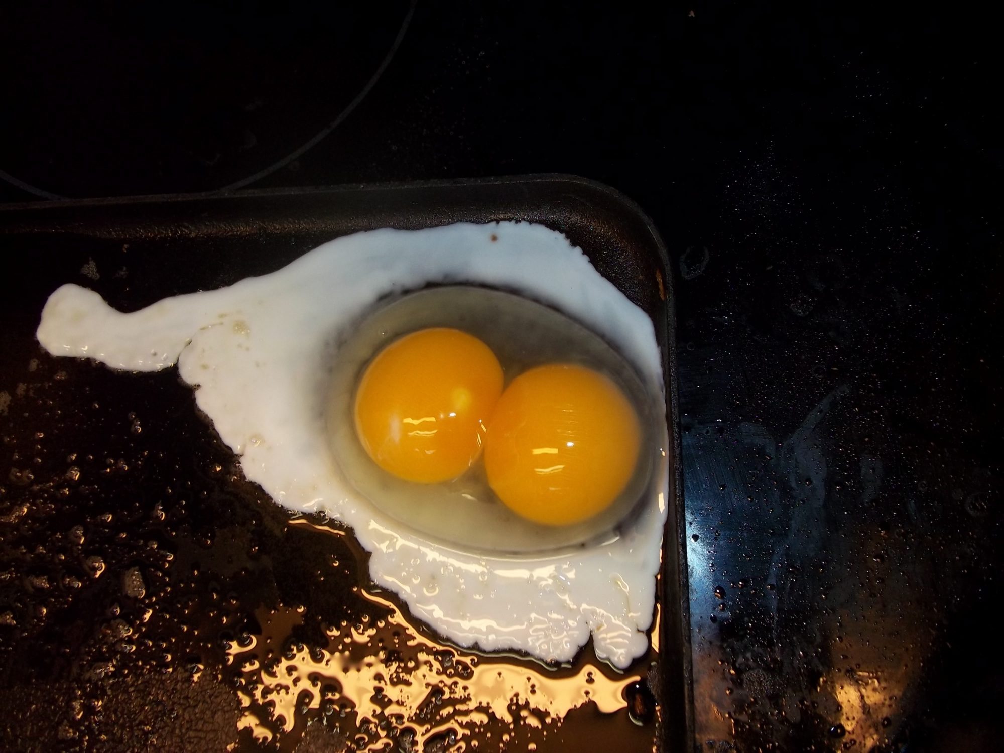 A double yolker! Our first.