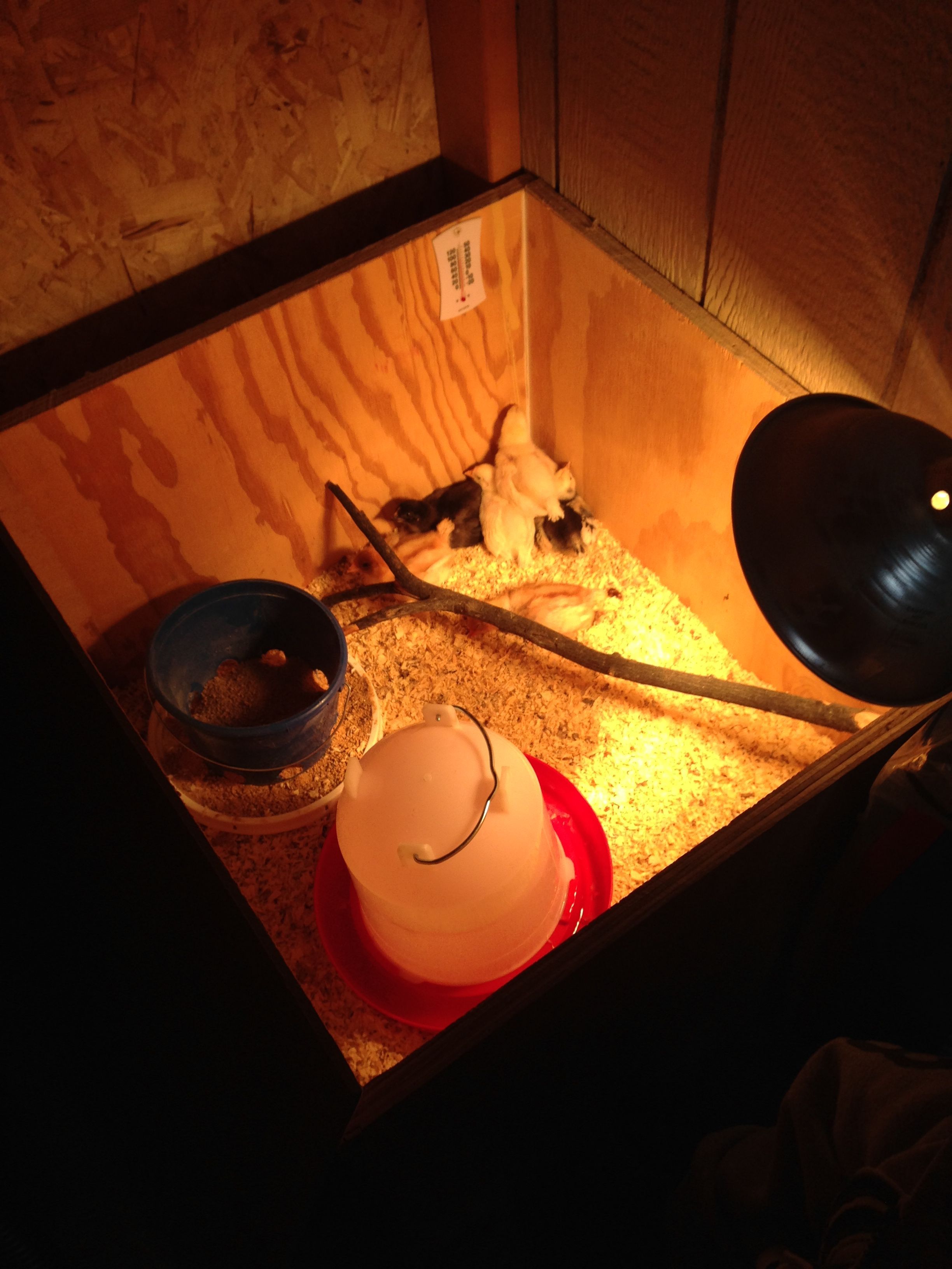 A few of our new additions :)