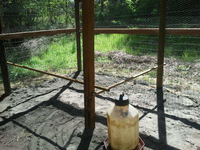 A few perches for the run.  I'm going to replace with something thicker, I think.