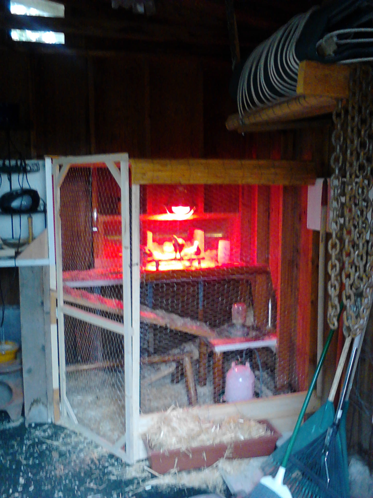 A few shots of my coop inside my shed