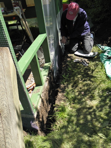 A foot down, and about 4-5" wide, with 1/2" hardware cloth all the way down and across.