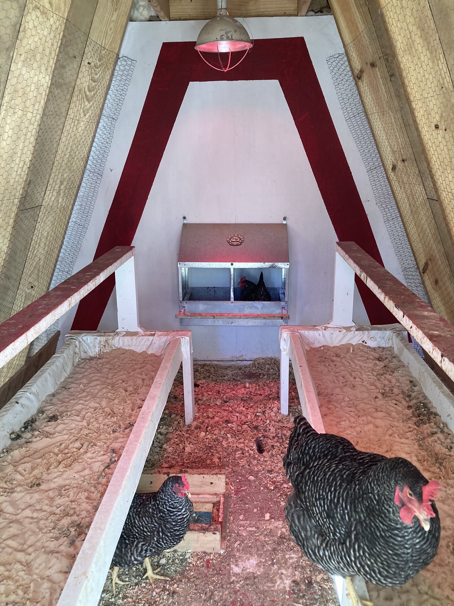 A Frame coop nesting boxes